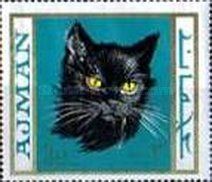 Domestic Cat (Felis silvestris catus)