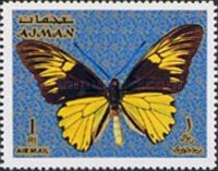 Malay Birdwing (Troides amphrysus)