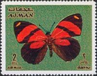 Sorana Eighty-eight (Callicore sorana)