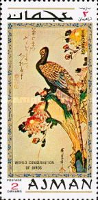 Common Pheasant (Phasianus colchicus)