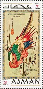 Golden Pheasant (Chrysolophus pictus)