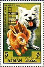 "Otvazhnaya" (Canis lupus familiaris) and Rabbit (Oryctolagu