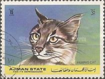 Pampas Cat (Leopardus pajeros)
