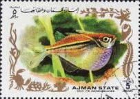 Bijlzam fish