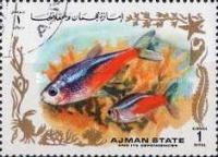 Red/white/blue fish