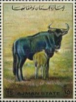 Wildebeest (Connochaetes gnou)