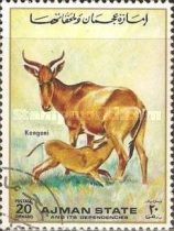 Hartebeest (Alcelaphus sp.)