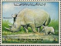 White Rhinoceros (Ceratotherium simum)