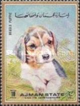 Beagle