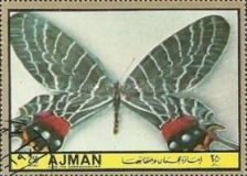 Bhutan Glory (Armandia lidderdalei)