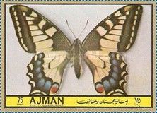 Old World Swallowtail (Papilio machaon)