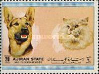 Dog and Cat (Canis lupus familiaris, Felis silvestris catus)