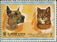 Dog and Cat (Canis lupus familiaris, Felis silvestris catus)