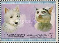 Dog and Cat (Canis lupus familiaris, Felis silvestris catus)