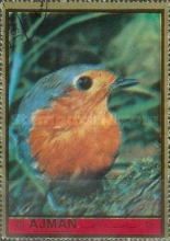 European robin