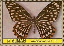 Common Mime (Papilio clytia ssp. dissimilis)