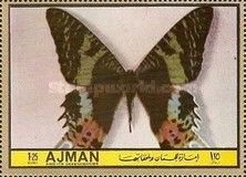 African Sunset Moth (Chrysiridia croesus)