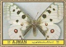 Mountain Apollo (Parnassius apollo)