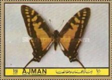 Butterfly (Papilio thyastes)