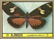 Butterfly (Tribe: Ithomiidae)