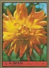 Aster