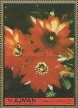 Calendula officinalis
