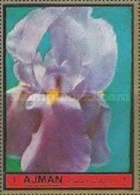 Iris germanica