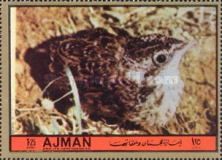 Common Quail