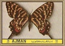Swallotail Butterfly (Sericinus koreana)
