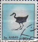 White-breasted Waterhen (Amaurornis phoenicurus)