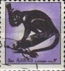 Spider Monkey sp. (Ateles sp.)