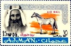 Sheik Rashid and Arabian Horse (Equus ferus caballus)
