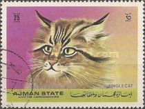Jungle Cat (Felis chaus)