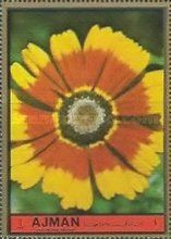 Coreopsis tinctoria