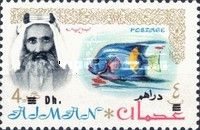 Sheik Rashid and Queen Angelfish (Holacanthus ciliaris)
