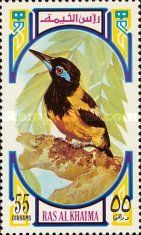 Venezuelan Troupial (Icterus icterus)