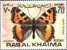 Small Tortoiseshell (Aglais urticae)
