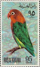 Lilian's Lovebird (Agapornis lilianae)