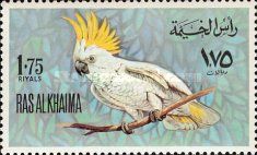 Sulphur-Crested Cockatoo (Cacatua galerita)