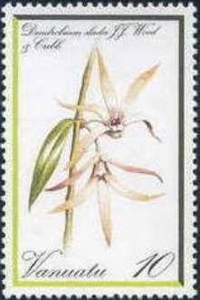 Dendrobium sladei