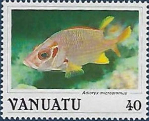 Smallmouth Squirrelfish (Sargocentron microstoma)