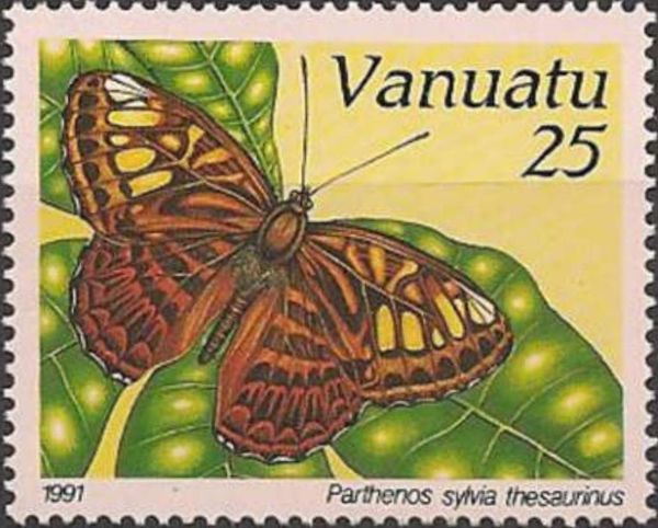 Clipper (Parthenos sylvia ssp. thesaurinus)