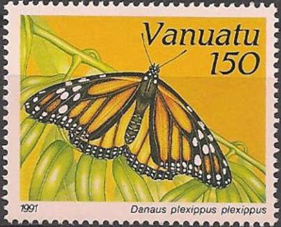 Monarch (Danaus plexippus)