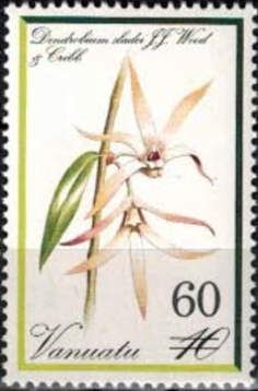 Dendrobium sladei surcharged
