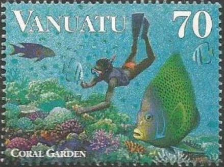 Snorkelling in the Coral Garden