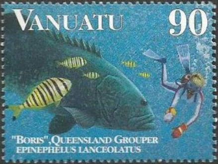 Giant Grouper (Epinephelus lanceolatus), Diver