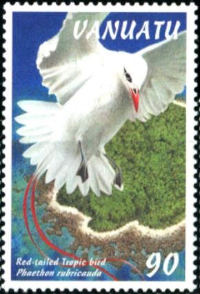 Red-tailed Tropicbird (Phaethon rubricauda)