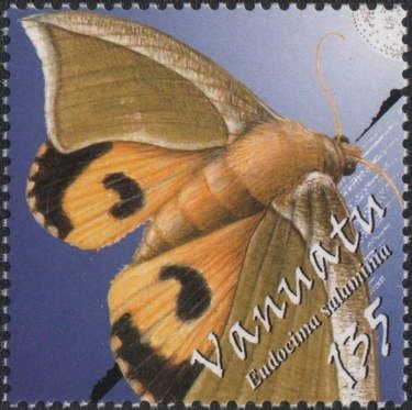 Green Fruit-piercing Moth (Eudocima salaminia)