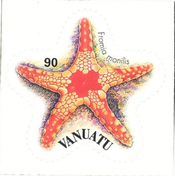 Necklace Starfish (Fromia monilis)