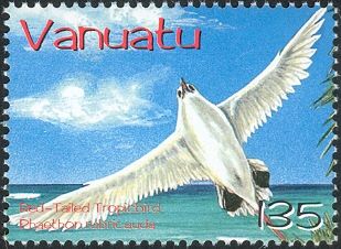Red-tailed Tropicbird (Phaethon rubricauda)
